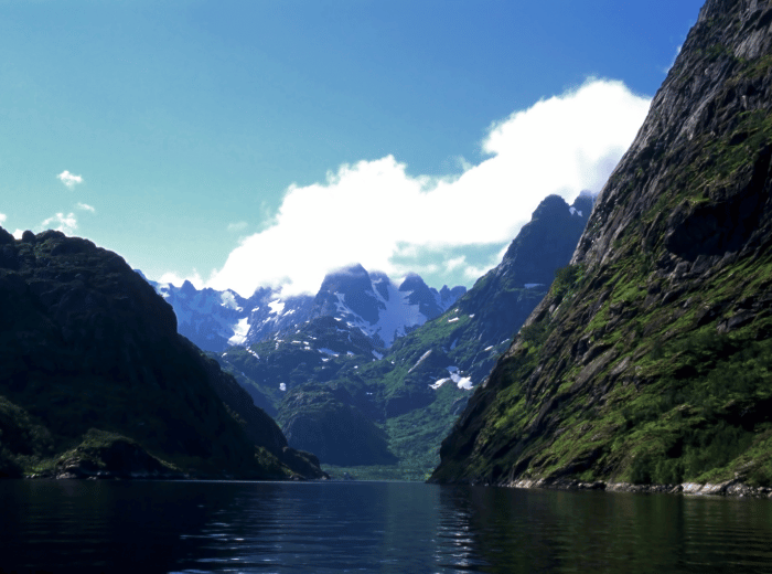 Trollfjord 
