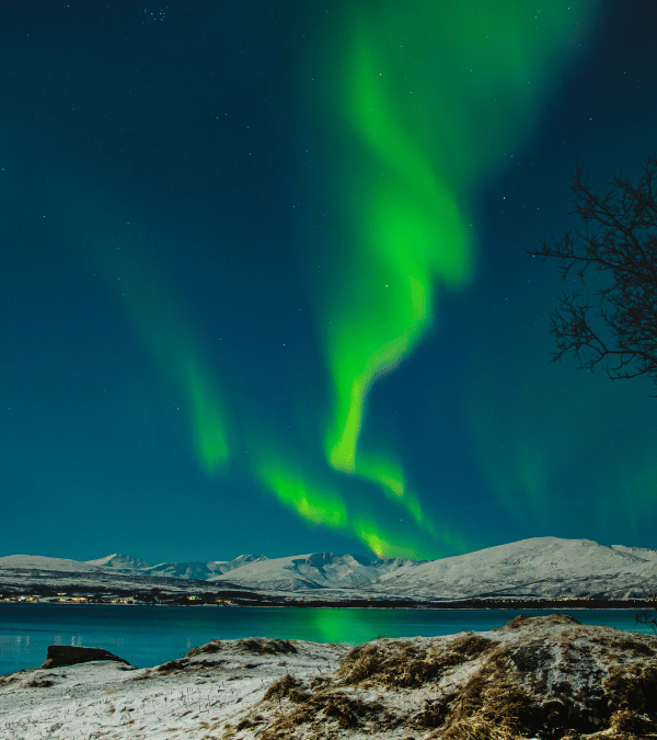 Wat te doen in Tromsø in één dag als cruisereiziger