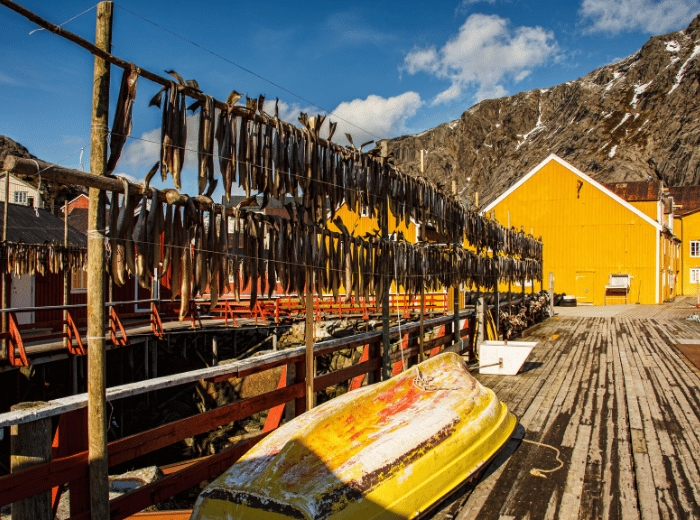 Bergen_ de toegangspoort tot de Noorse fjorden
