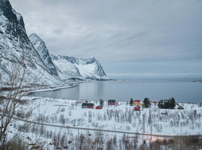 Excursies vanuit Tromsø: husky’s, walvissen, fjorden en arctische natuur